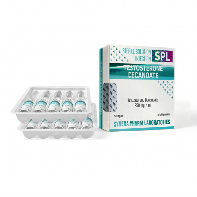 Testosterone Decanoate 250 ампулы Synera
